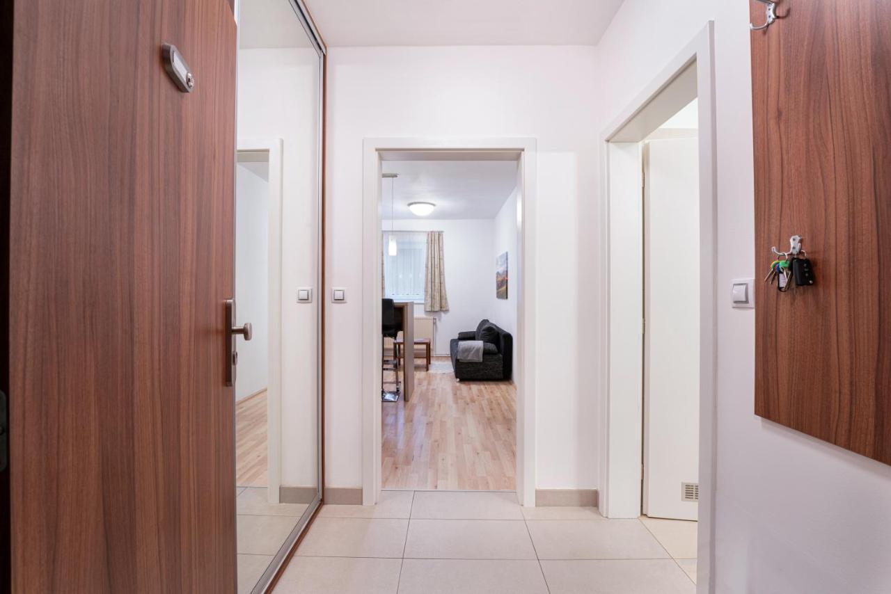 Ferienwohnung Depandance Marnet Sneznik Dolní Morava Exterior foto